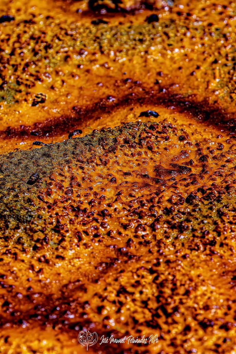 Detalles-del-Tinto.-Los-Frailes.-11-05-24-05r