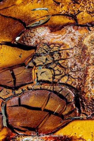 Detalles-del-Tinto.-Los-Frailes.-11-05-24-06r