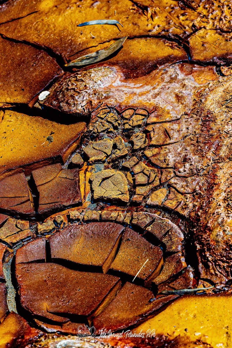 Detalles-del-Tinto.-Los-Frailes.-11-05-24-06r