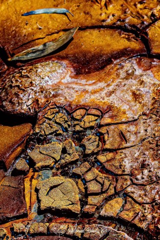 Detalles-del-Tinto.-Los-Frailes.-11-05-24-08r