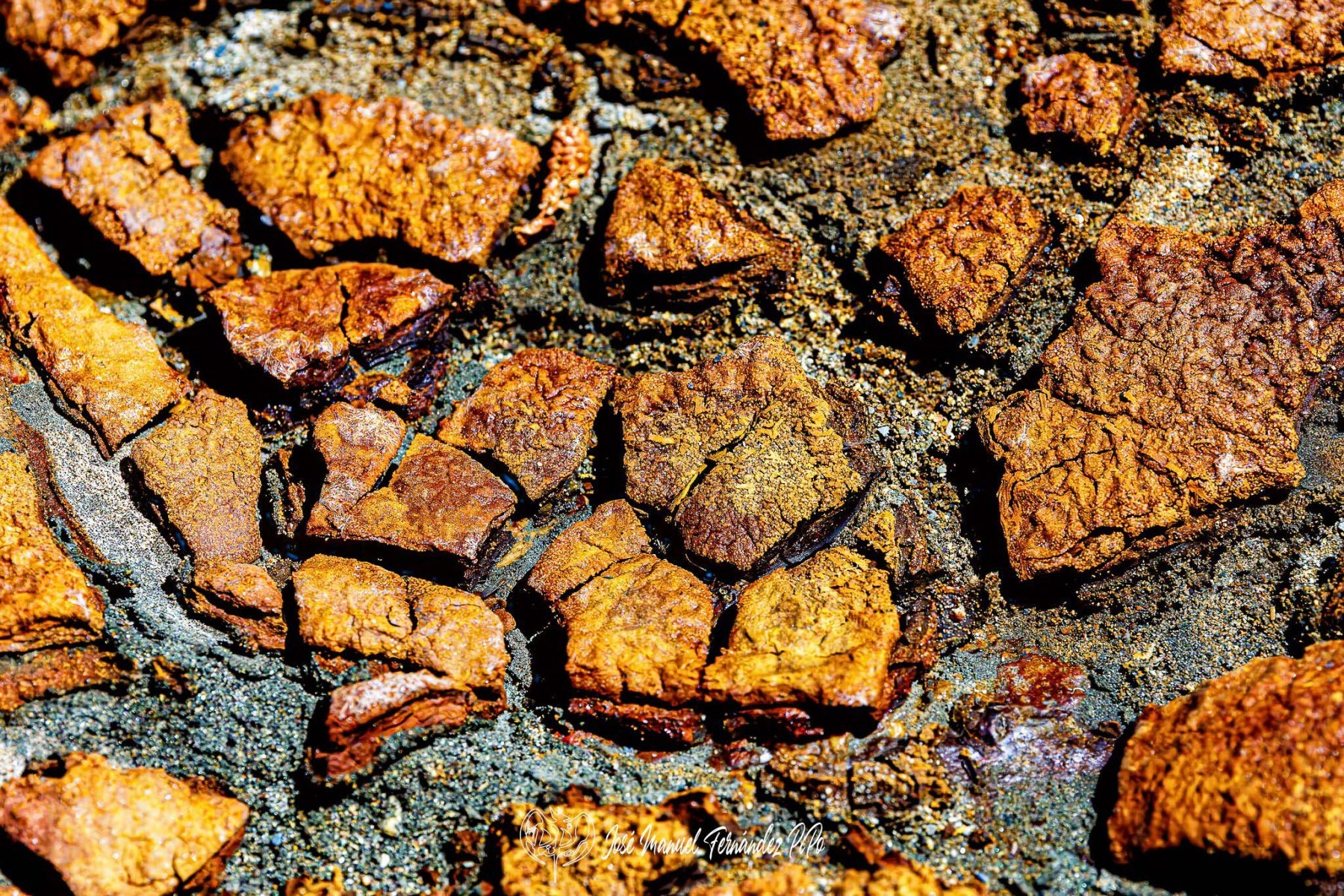 Detalles-del-Tinto.-Los-Frailes.-11-05-24-12r