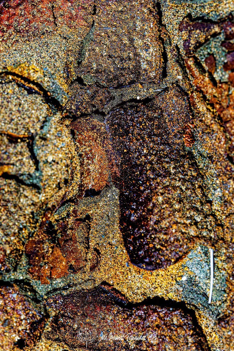 Detalles-del-Tinto.-Los-Frailes.-11-05-24-13r