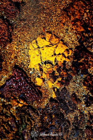 Detalles-del-Tinto.-Los-Frailes.-11-05-24-14r