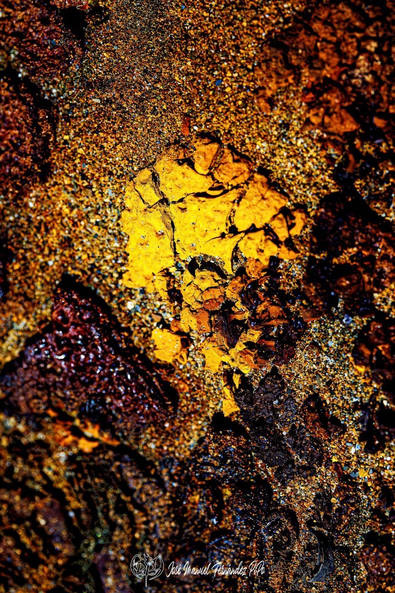 Detalles-del-Tinto.-Los-Frailes.-11-05-24-14r