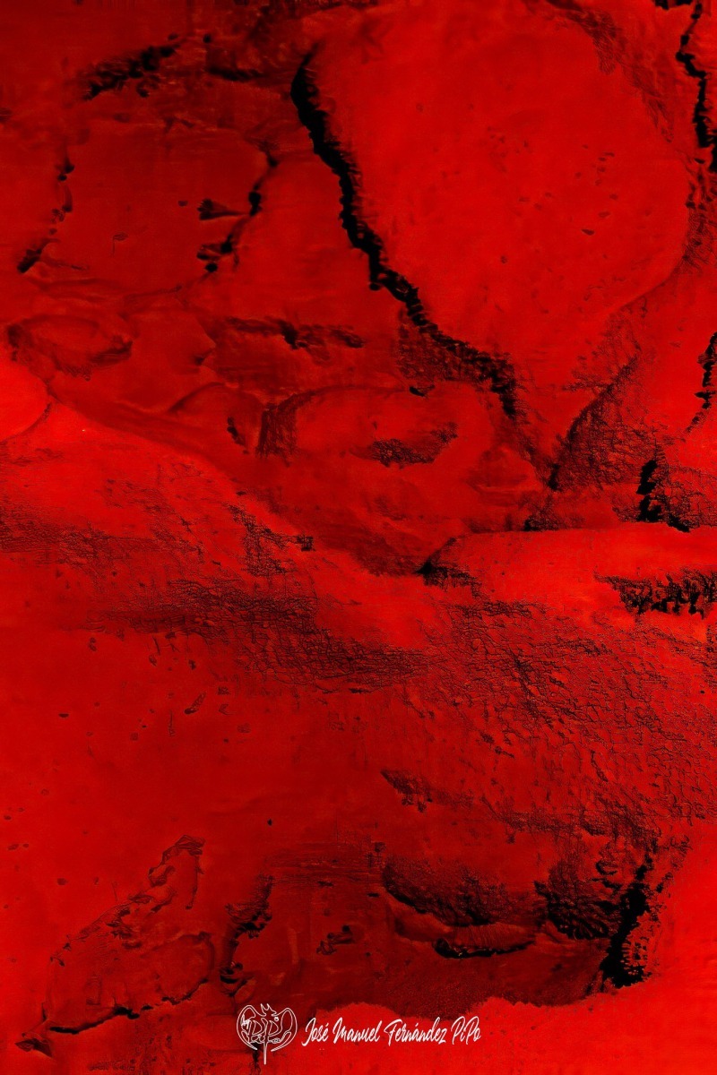 Detalles-del-Tinto.-Los-Frailes.-11-05-24-24r