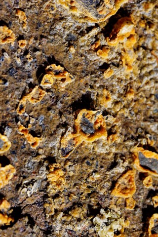 PiPo_693410-E-Erl