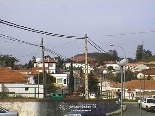 03980021-E