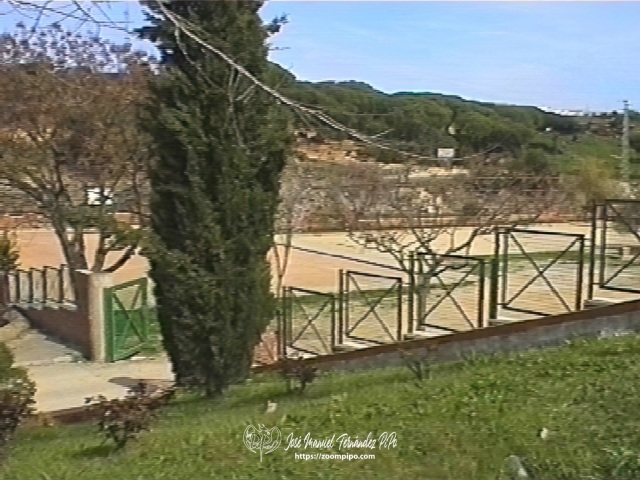 03980032-E