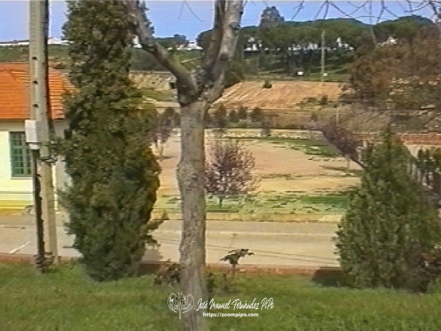 03980033-E