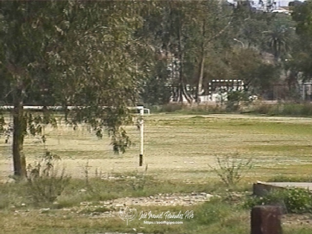 03980072-E