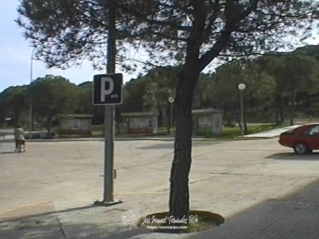 03980075-E