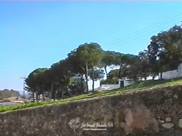 03980104-E