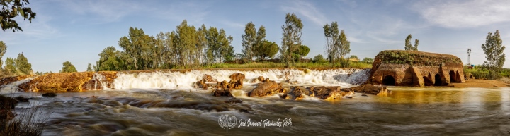PiPo_650959-Pano-E-Erl