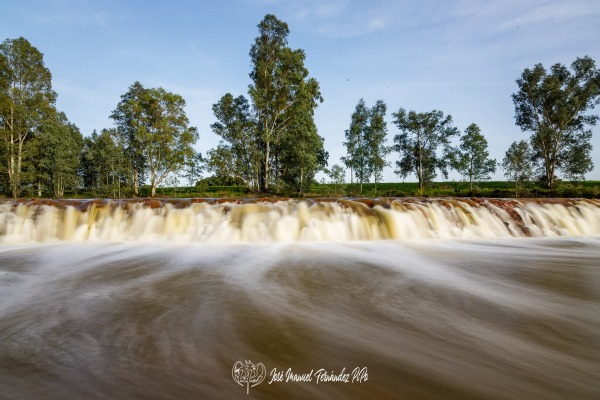 PiPo_651014-Erl