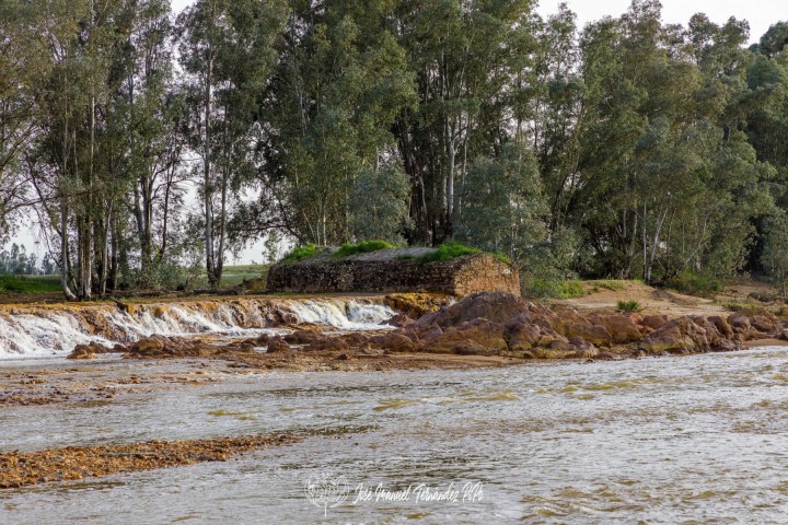 PiPo_651028-Erl