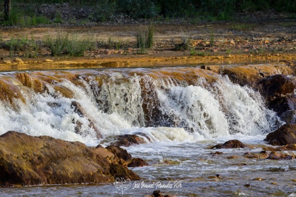 PiPo_651048-Erl