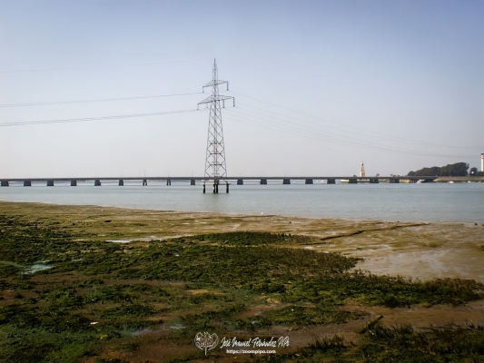 pic00104-E