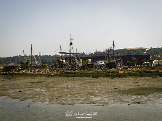 pic00116-E