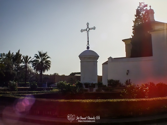 pic00431-E