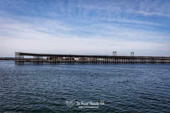 Muelle de mineral de la compañía Riotinto 24-02-25