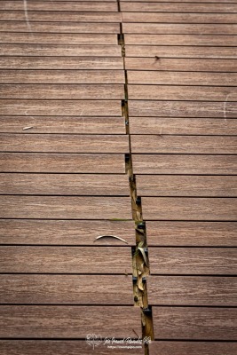 PiPo-0825988-E-E
