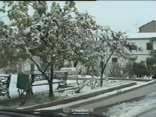 NEVAD118-E
