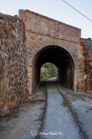 PiPo_711730-Erl