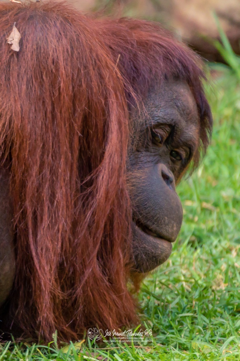 49796739691_78f56605ca_o