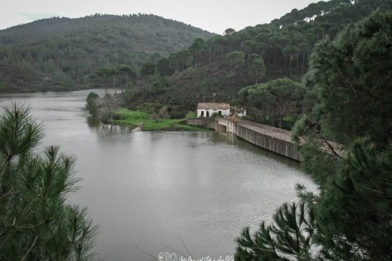Pantano Campofrio 17-03-01