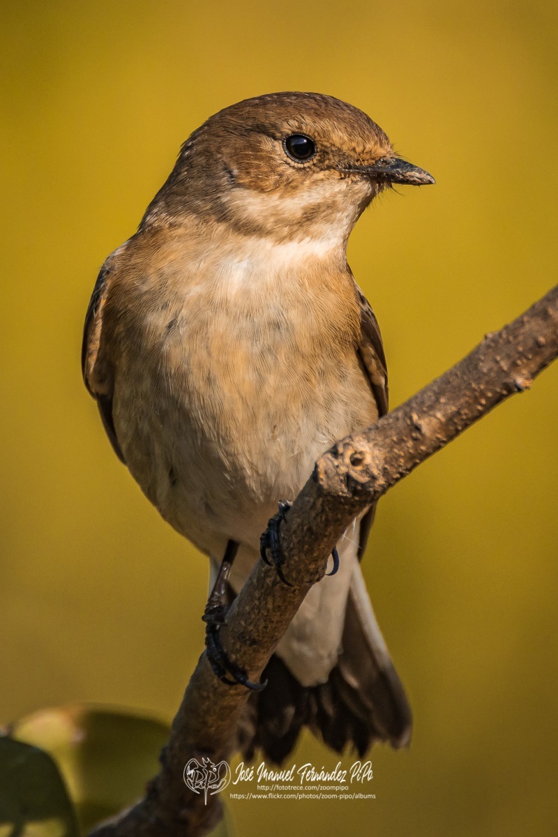 50340992902_4f39345b0b_o