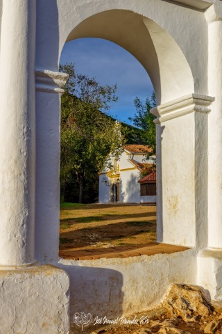 PiPo_722299-E-Erl