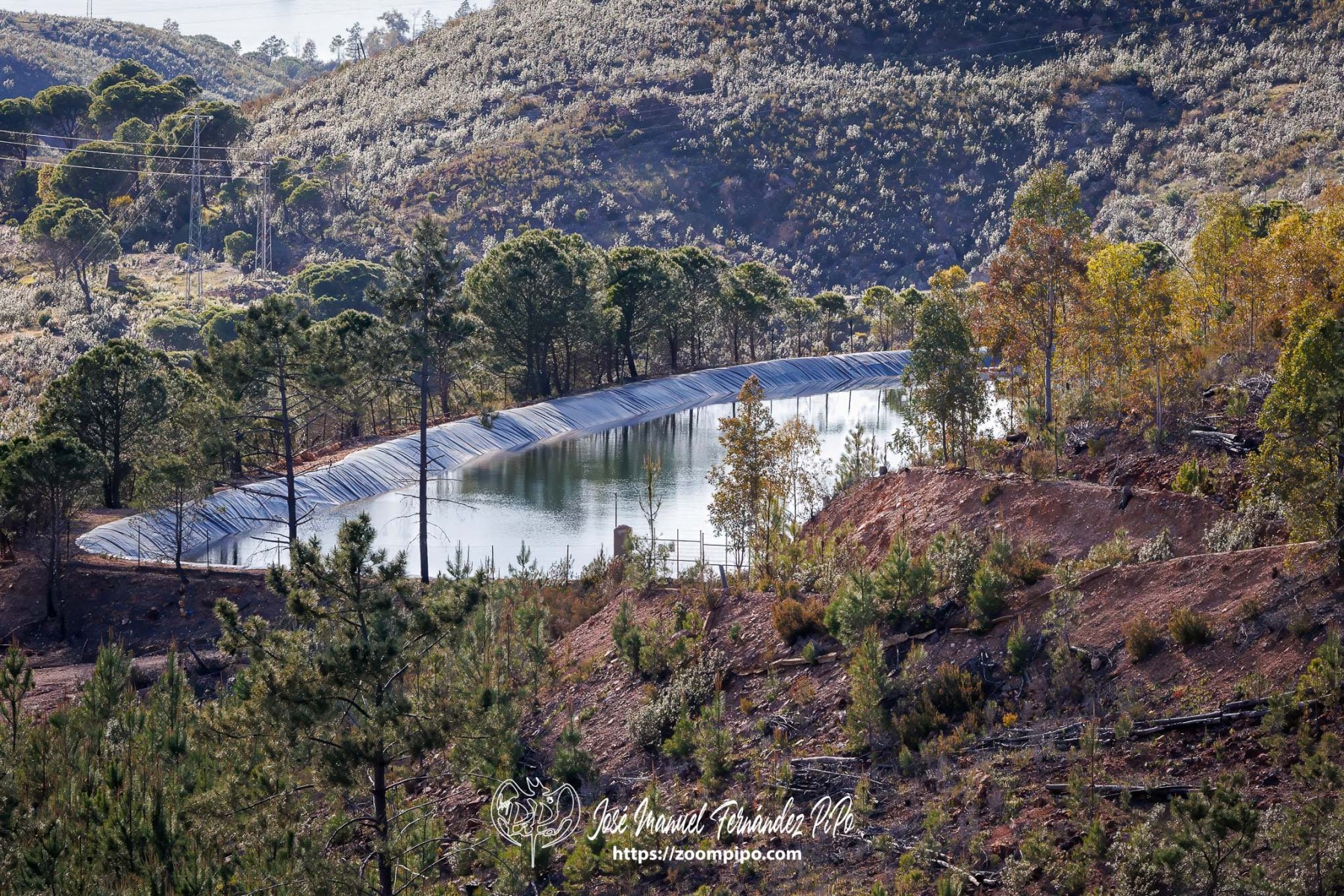 PiPo_764371-Mejorado-NR-Erl