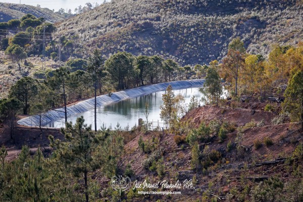 PiPo_764371-Mejorado-NR-Erl