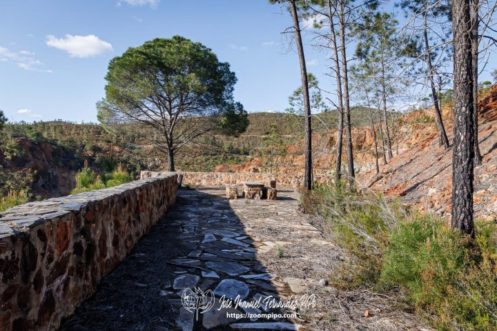 PiPo_764379-Mejorado-NR-Erl