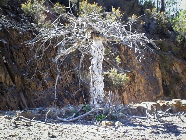 02c00035-E
