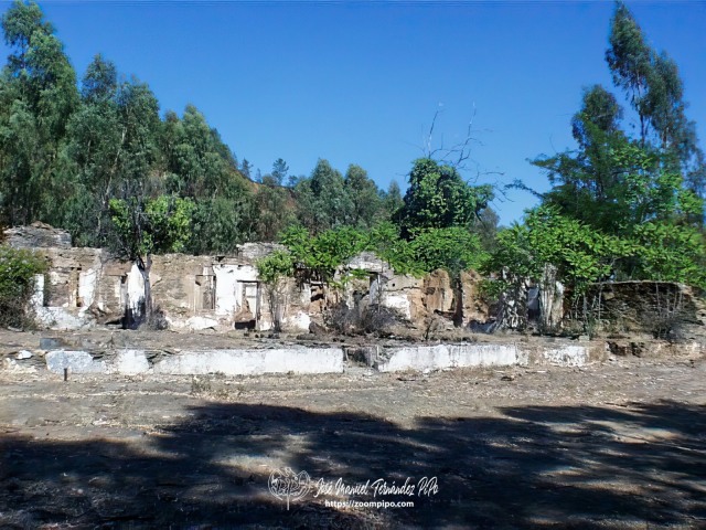 02c00056-E
