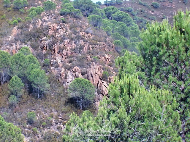 02c00073-E