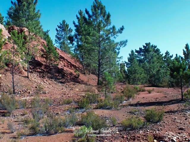 02c00084-E