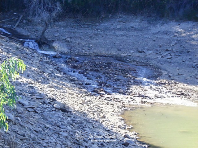 02c00115-E