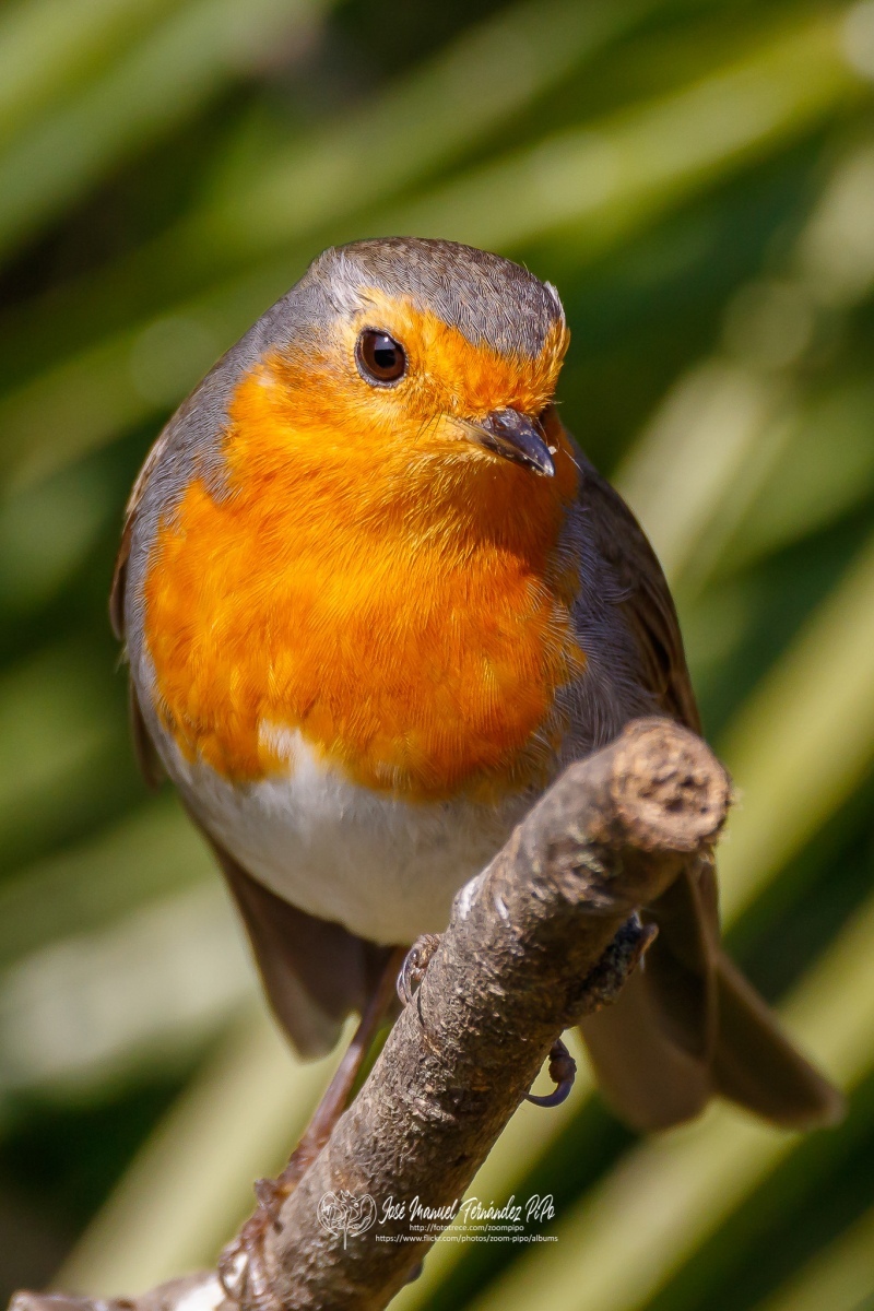 49768500597_6c0cc3d5d1_or