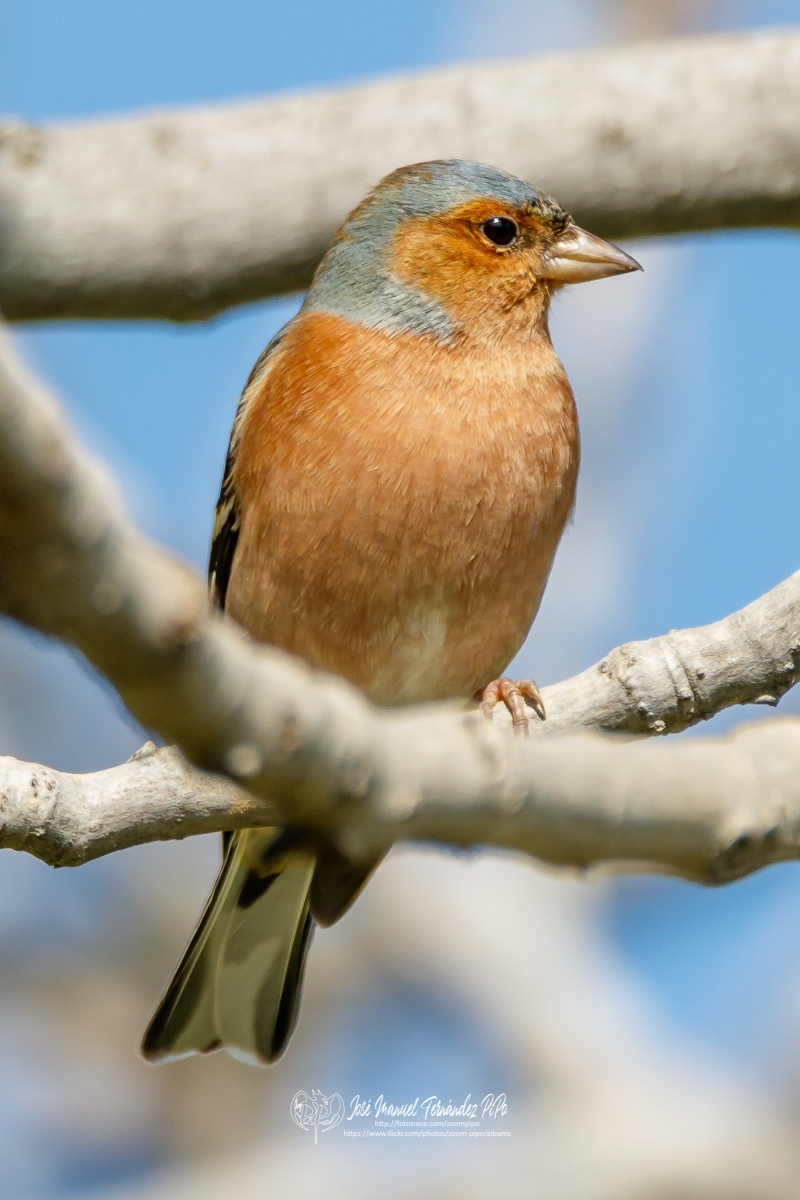 49767638858_ec409158bc_or