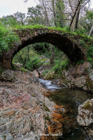 Puente-Medieval-del-Murtiga-09r