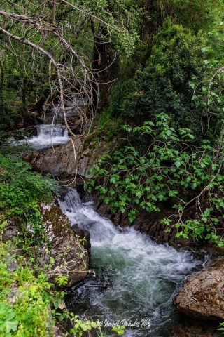 Puente-Medieval-del-Murtiga-12r