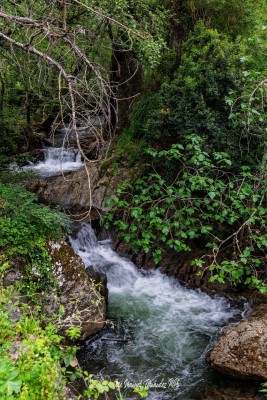 Puente-Medieval-del-Murtiga-12r