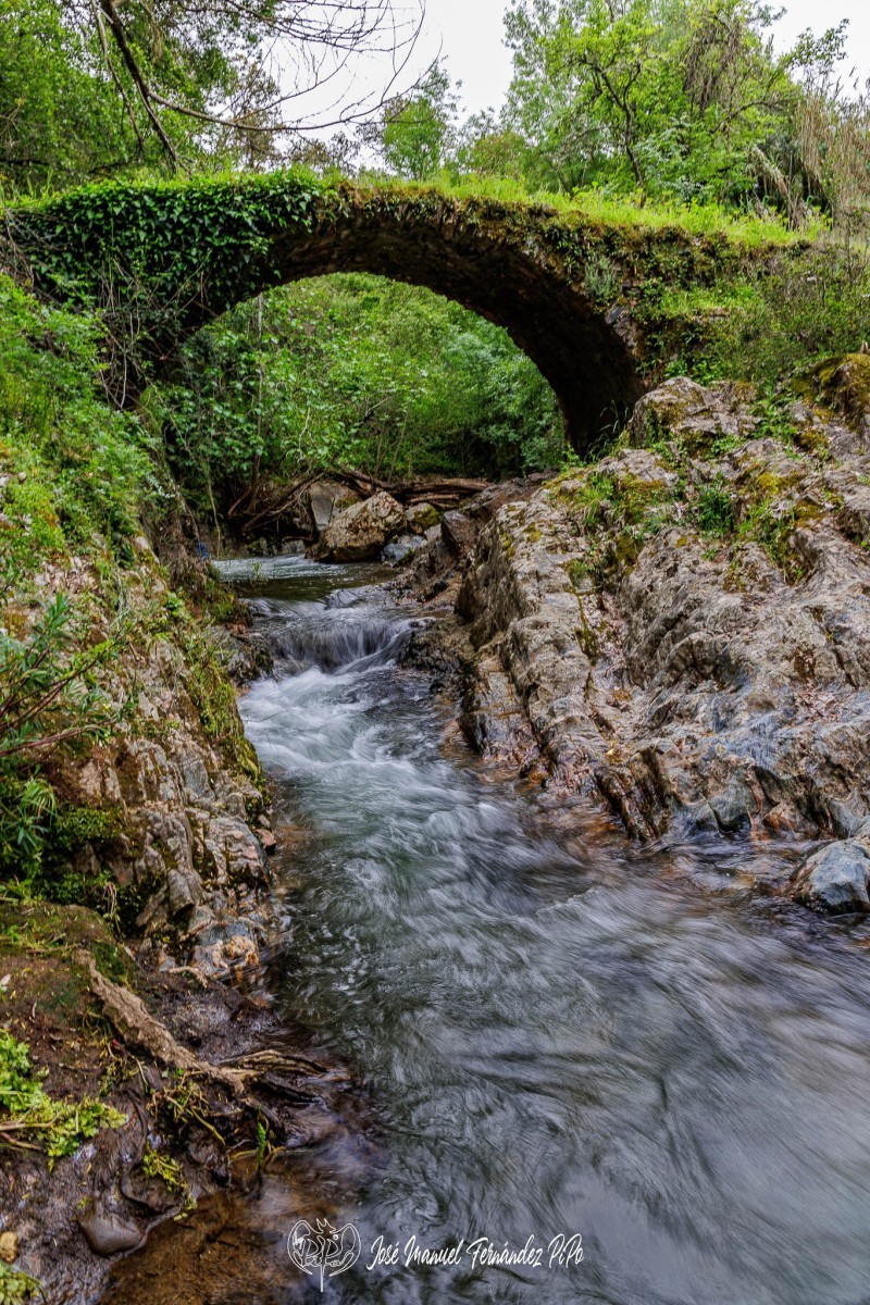 Puente-Medieval-del-Murtiga-13r