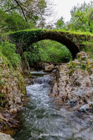 Puente-Medieval-del-Murtiga-15r