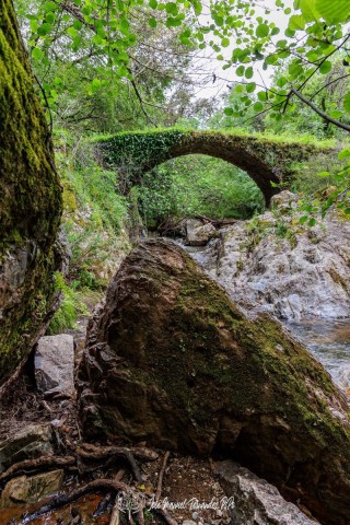 Puente-Medieval-del-Murtiga-16r