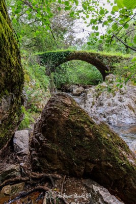 Puente-Medieval-del-Murtiga-16r