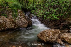 Puente-Medieval-del-Murtiga-06r