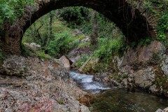 Puente-Medieval-del-Murtiga-09r